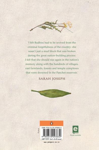 Budhini