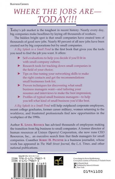 A Big Splash in a Small Pond: Finding a Great Job in a Small Company
