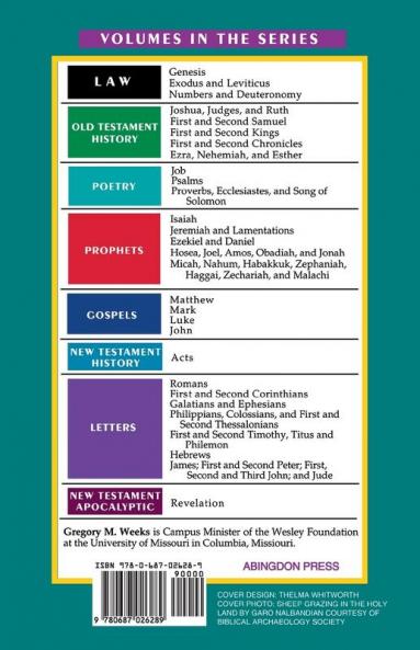 Basic Bible Commentary Job