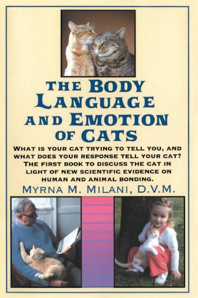 Cats Body Language