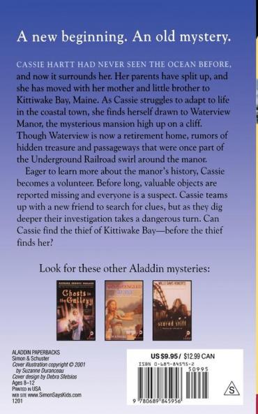 Mystery at Kittiwake Bay (Aladdin Mystery)