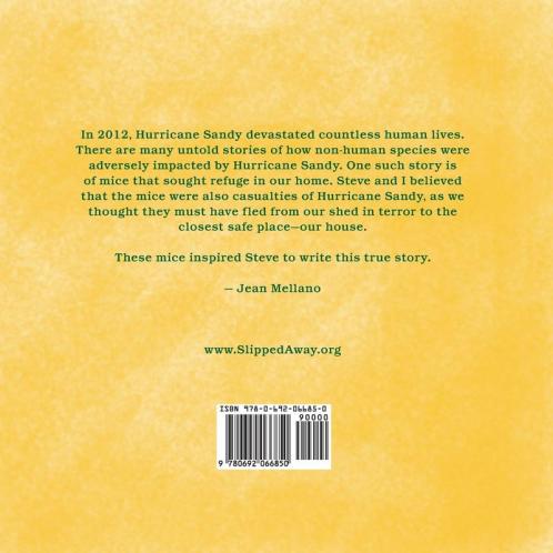 A Mouse in the House: A true story about the mice who came into our home after Hurricane Sandy