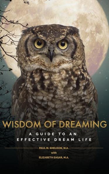 Wisdom of Dreaming: A guide to an effective dream life: 2 (Dreamosophy Approach)