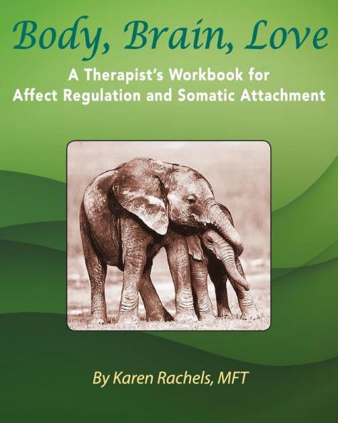 Body Brain Love: A Therapist's Workbook for Affect Regulation and Somatic Attachment