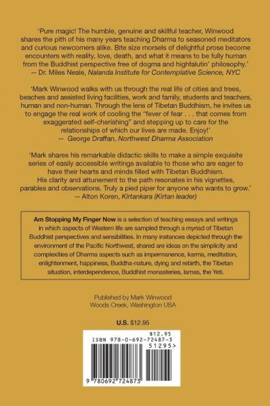 Am Stopping My Finger Now: Tibetan Buddhist musings for Western life