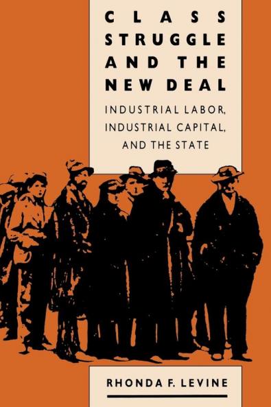 Class Struggle and the New Deal: Industrial Labour Industrial Capital and the State (Studies in historical social change)