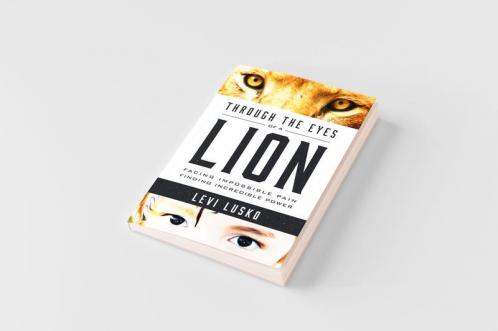 Through the Eyes of a Lion