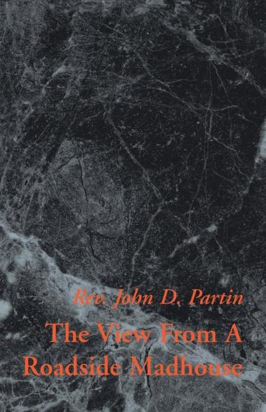 The View from a Roadside Madhouse