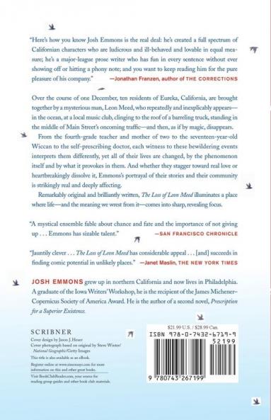 The Loss of Leon Meed: A Novel