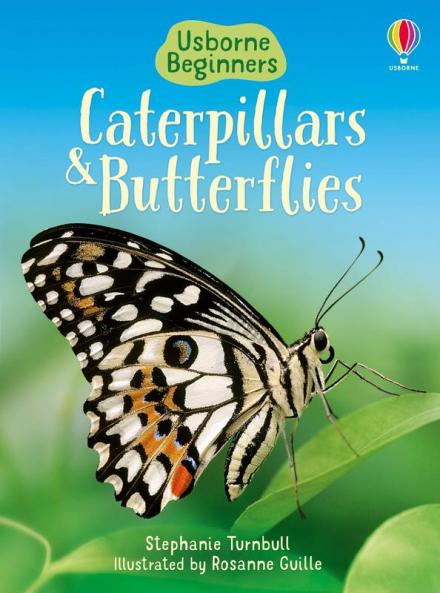 CATERPILLARS & BUTTERFLIES