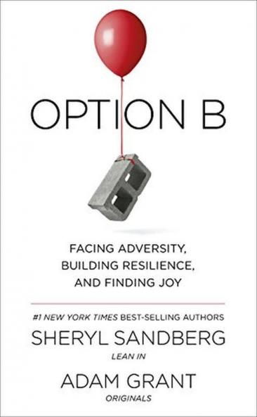 Option B: Facing Adversity Building Resilience and Finding Joy