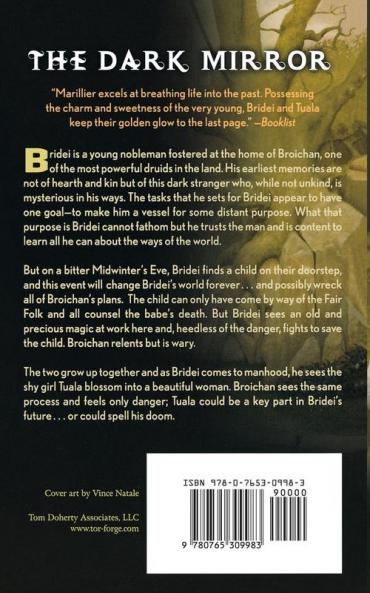 The Dark Mirror: Book One of the Bridei Chronicles: 1