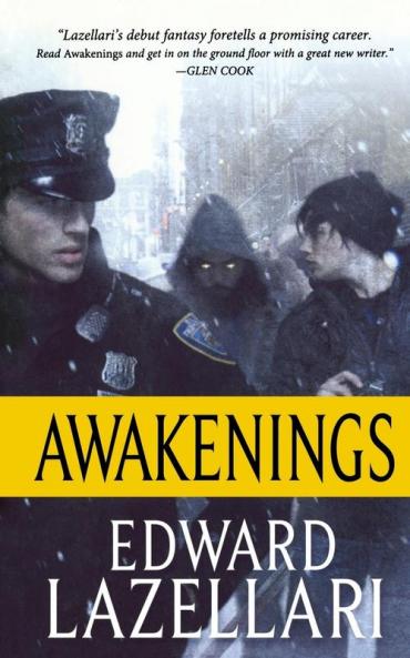 Awakenings: Guardians of Aandor Book One: 1 (Guardians of Aandor 1)