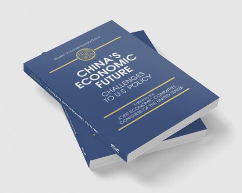 China's Economic Future