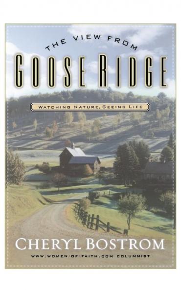 The View from Goose Ridge