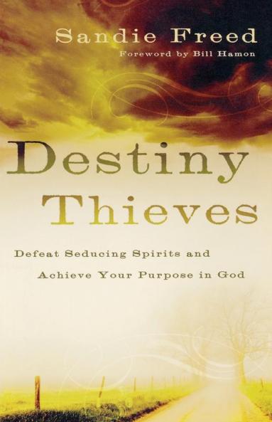 Destiny Thieves