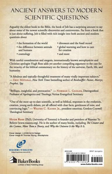 Hidden Treasures in the Book of Job