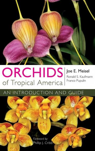 Orchids of Tropical America