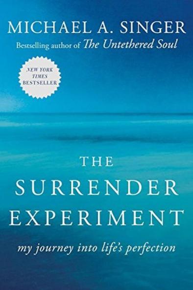 The Surrender Experiment (Lead Title): My Journey into Life's Perfection