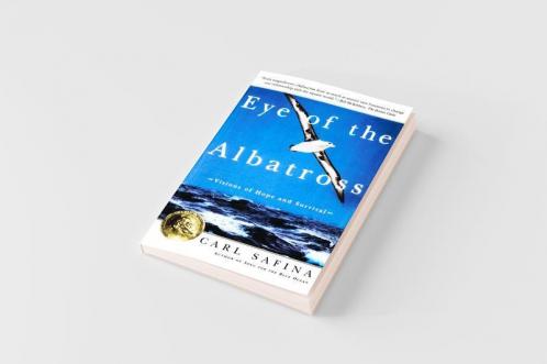 Eye of the Albatross