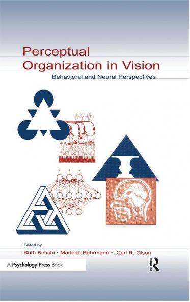 Perceptual Organization in Vision