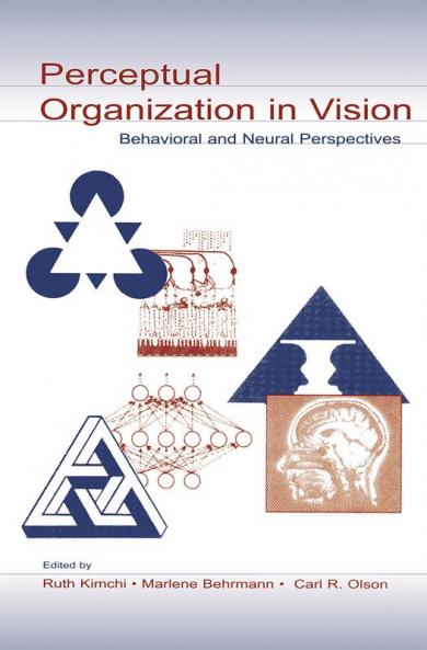Perceptual Organization in Vision