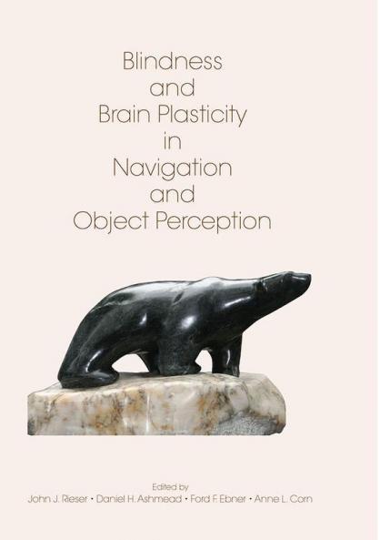 Blindness and Brain Plasticity in Navigation and Object Perception