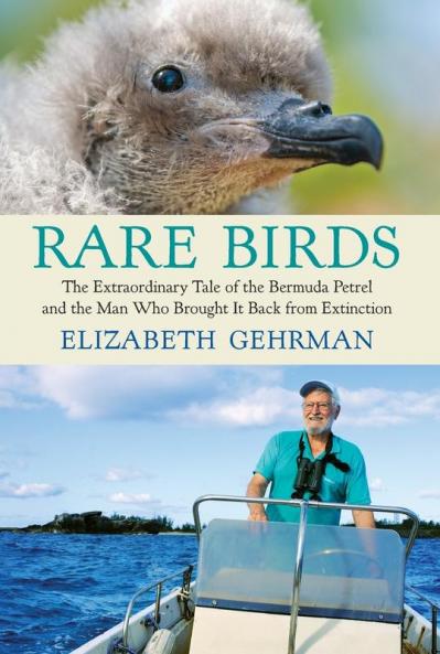 Rare Birds