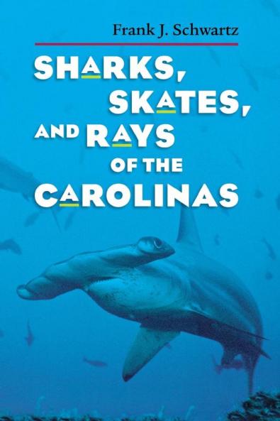 Sharks Skates and Rays of the Carolinas
