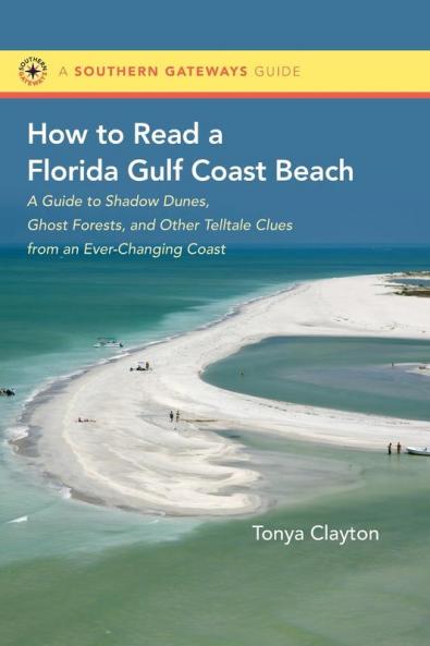 How to Read a Florida Gulf Coast Beach