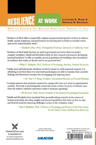 The Resilience at Work