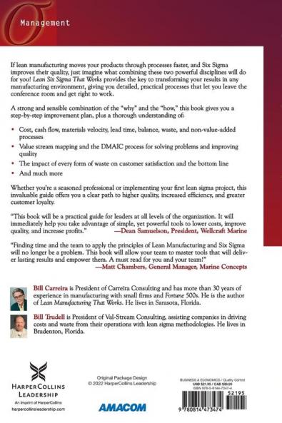 Lean Six Sigma That Works
