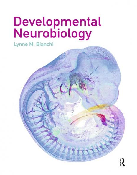 Developmental Neurobiology