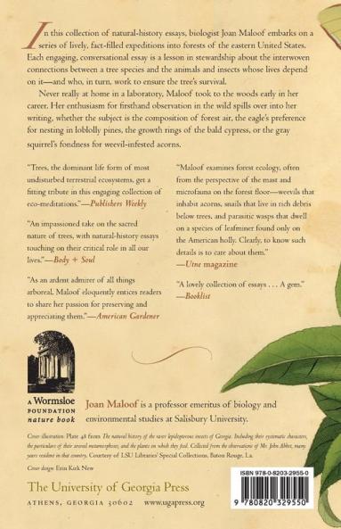 Teaching the Trees: Lessons from the Forest