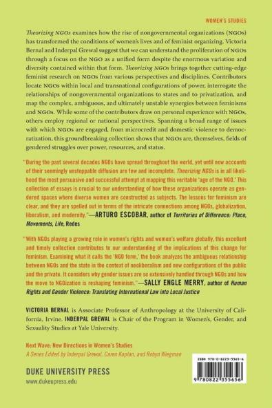 Theorizing NGOs