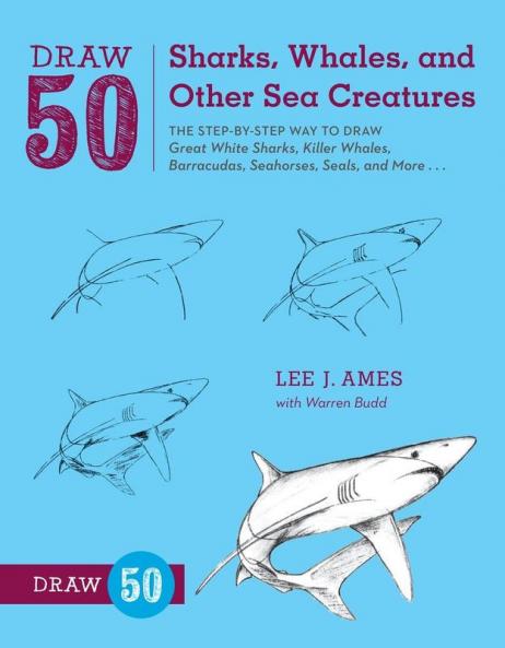 Draw 50 Sharks Whales and Other Sea Creatures