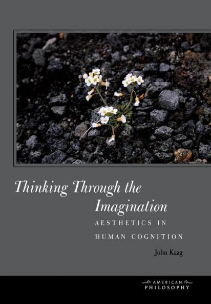 Thinking Through the Imagination