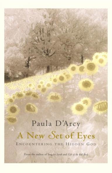New Set of Eyes Encountering the Hidden God