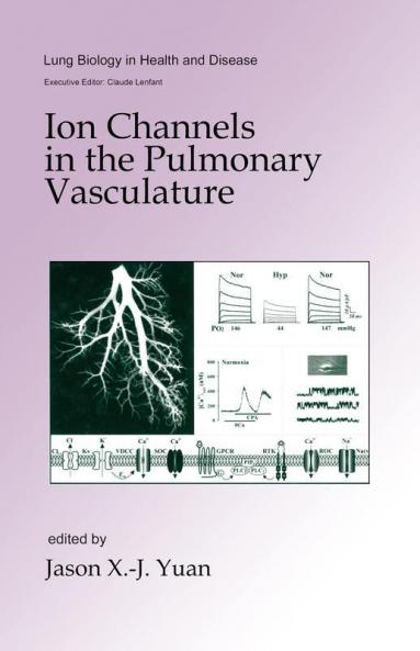 Ion Channels in the Pulmonary Vasculature