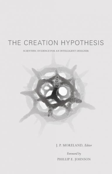 The Creation Hypothesis