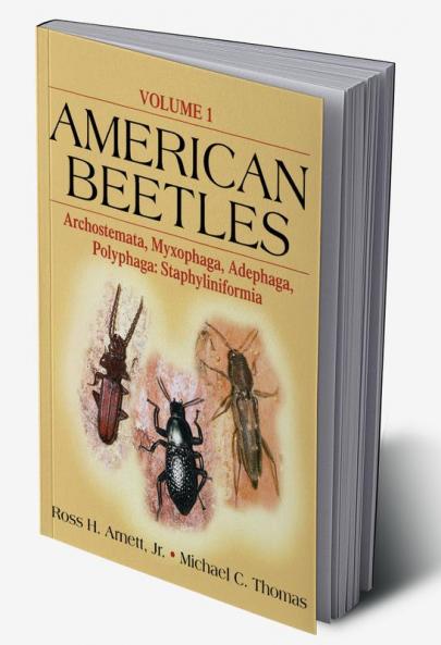 American Beetles Vol 1
