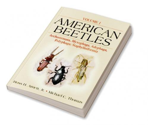 American Beetles Vol 1