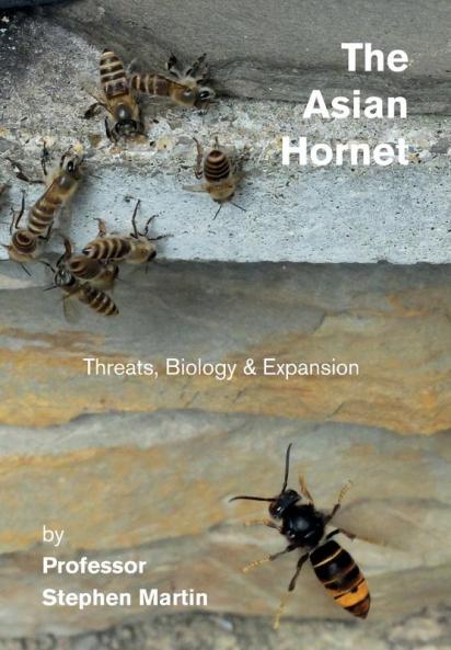 The Asian Hornet: Threats Biology & Expansion
