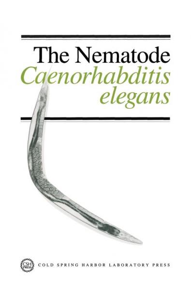 The Nematode Caenorhabditis Elegans