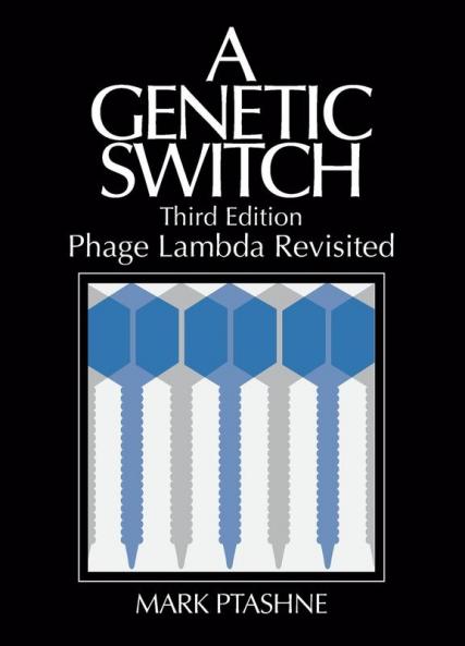 A Genetic Switch Phage Lambda Revisited