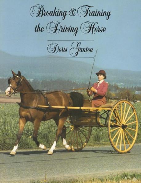 Breaking and Training the Driving Horse