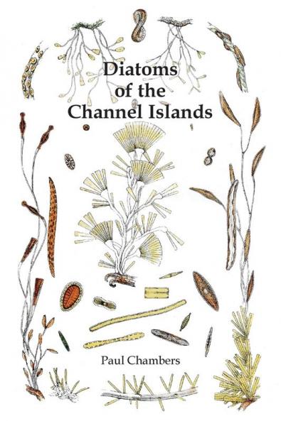 Diatoms of the Channel Islands