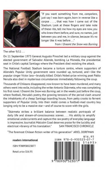 I Dreamt the Snow Was Burning: A Novel of Chile