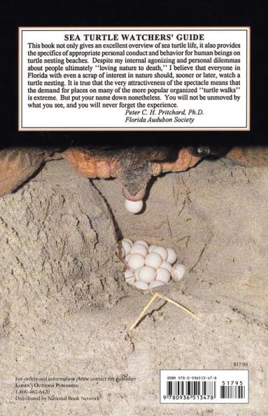 Sea Turtles