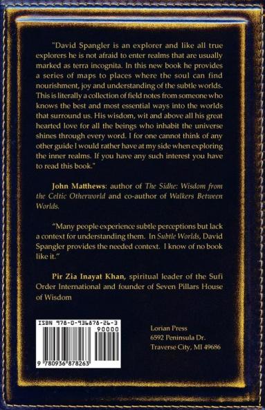 Subtle Worlds: An Explorer's Field Notes